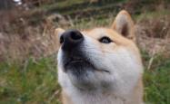 英雄联盟总决赛直播-当探戈遇见铁幕，加维的灵光与阿根廷的闪电，如何撕裂2026世界杯A组的命运天平