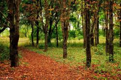 -北极光下的逆袭，切特，那场证明自己的雪夜之战