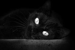 英雄联盟总决赛门票-足球双重奏，阿尔及利亚闪电战击溃瑞典，拉什福德数据封神统治绿茵