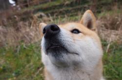 LOL决赛-绝杀时刻！掘金西决生死战压哨击败上海队，惊心动魄的焦点对决