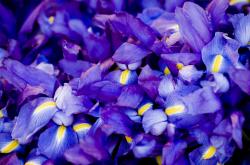 LOL决赛-黑铁屏障与一声叹息，当安哥拉的防守哲学让曼城窒息，迪亚斯在欧冠决赛完成逆袭传奇