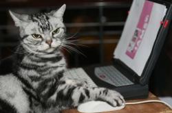 英雄联盟总决赛时间-维尼修斯单骑破局，墨西哥式铁血防守铸就胜利