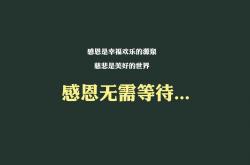 -盾牌的宿命，从北京队的铁壁到戈贝尔的无声接管