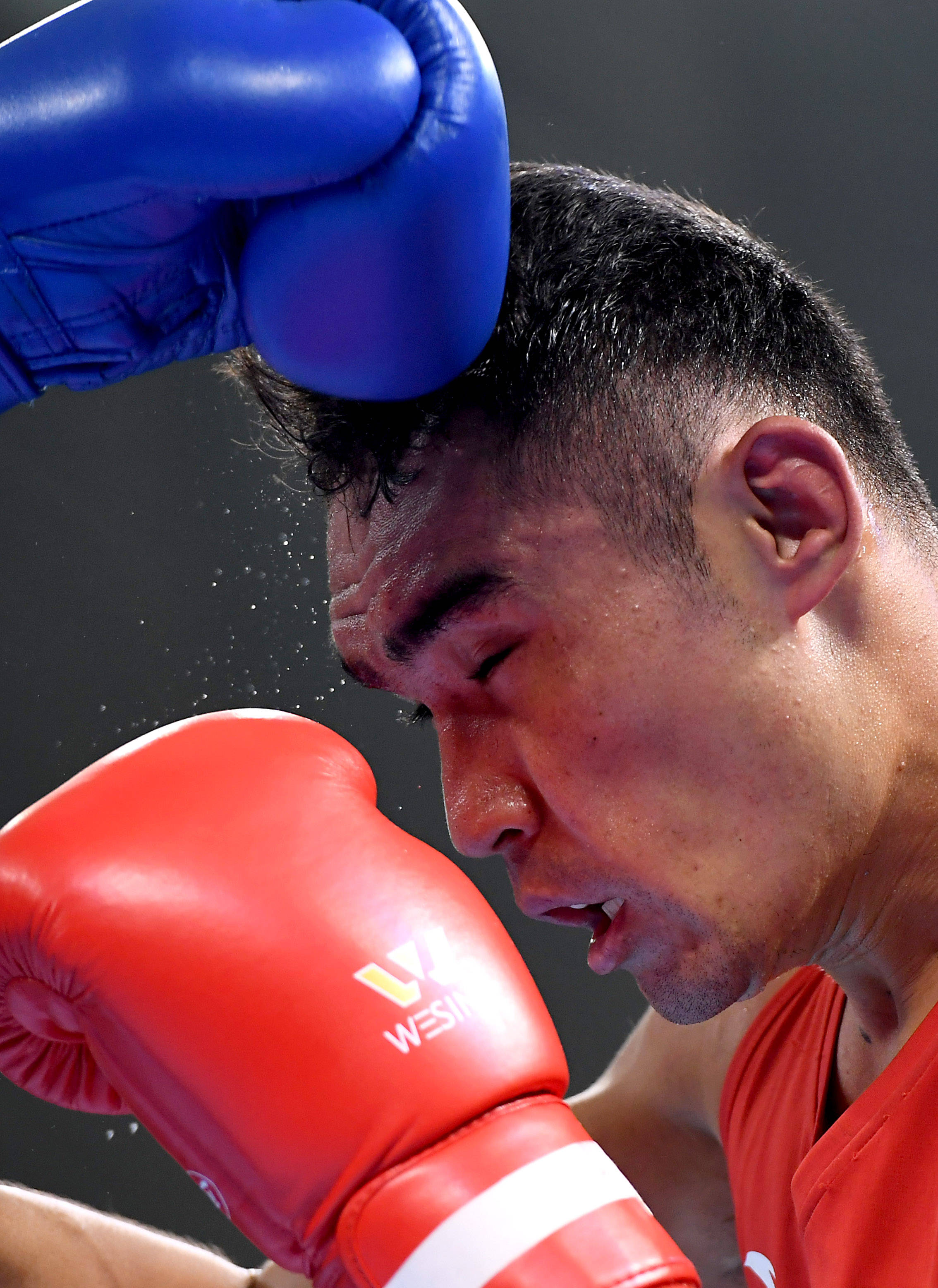 包含印度男子拳击队士气高昂,成绩逐步提升的词条 包含印度男子拳击队士气高昂,成绩逐步提升的词条