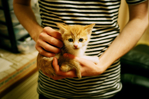 当国家心跳声响彻球馆，字母哥在奥运关键夜的完美交响