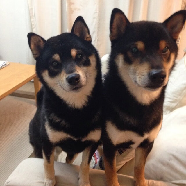 巴拉圭强行终结阿根廷不败神话，罗德里戈里程碑时刻悲喜交加