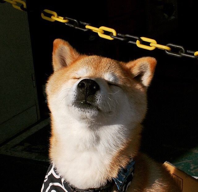 当个人英雄主义撞上团队韧性,卢卡库爆发之夜与尼日利亚突围土耳其的生存法则