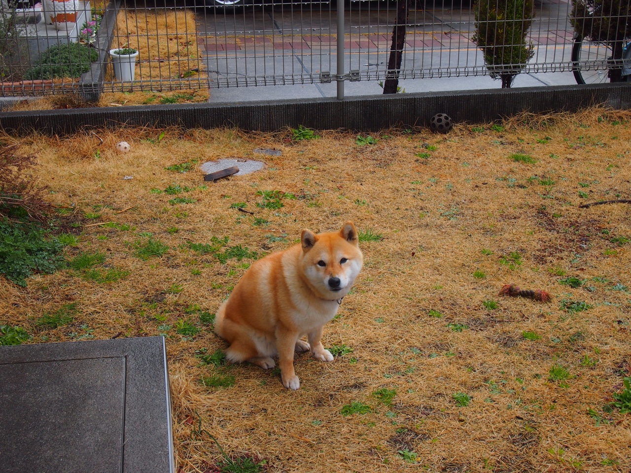 写在中国灯笼上的唯一战书,当上海滩的午夜球场,遇见希腊怪兽的时针切割术