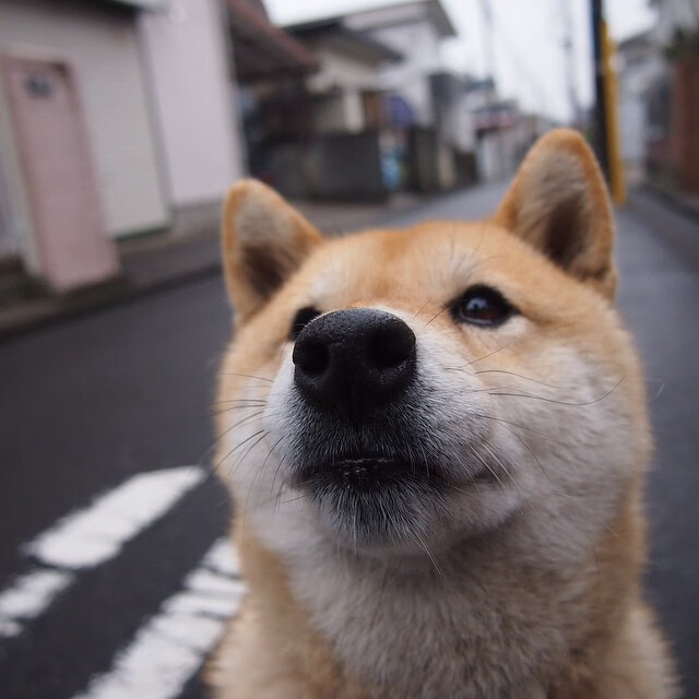 逆转与接管,跨越太平洋的篮球奇迹,在昨夜同时发生