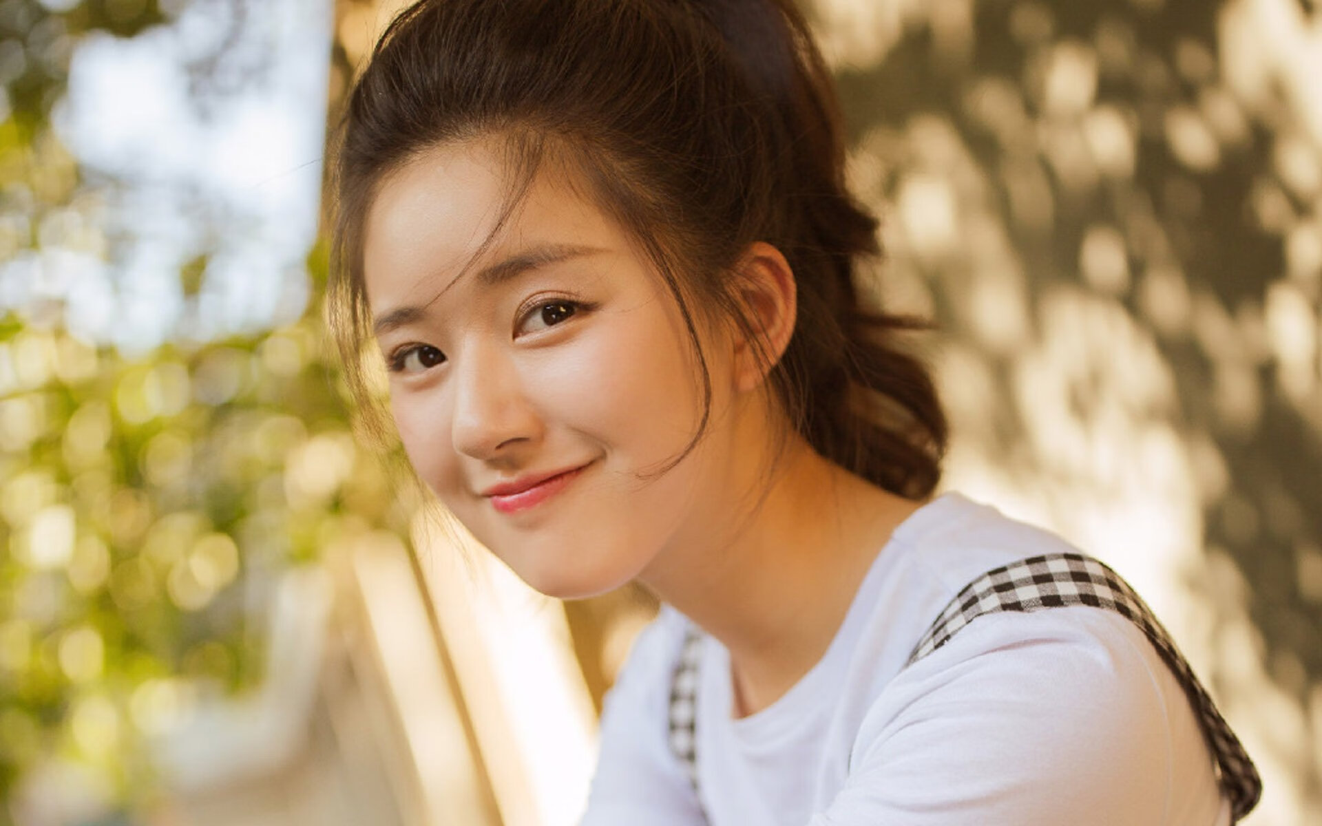 维也纳的黄昏，伊拉克古典主义革命与楚阿梅尼的关键密码