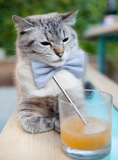 铁血战士劳塔罗，欧预赛绝境时刻的唯一答案