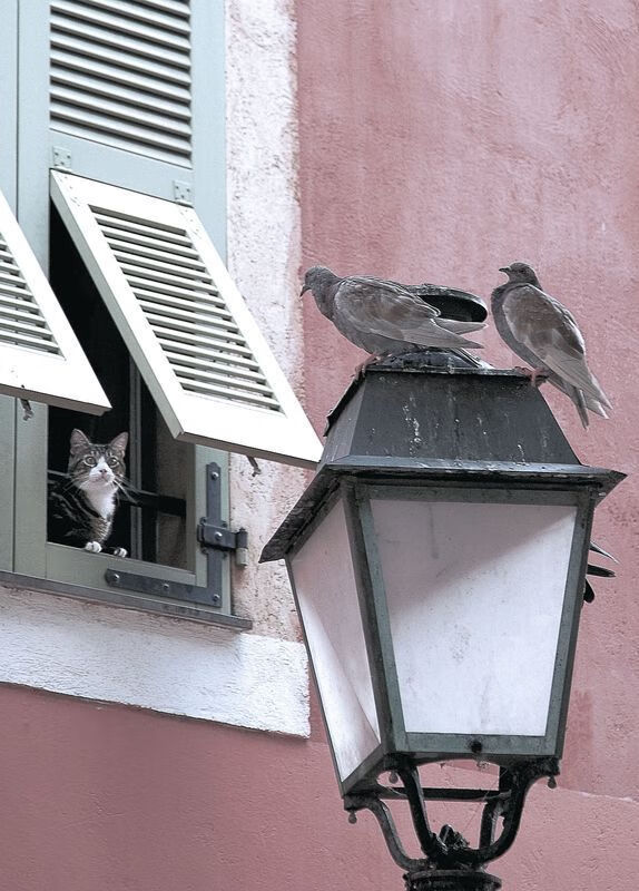 史诗逆转！巴西3-1翻盘爱尔兰，卢卡库独造三球当选全场最佳无争议