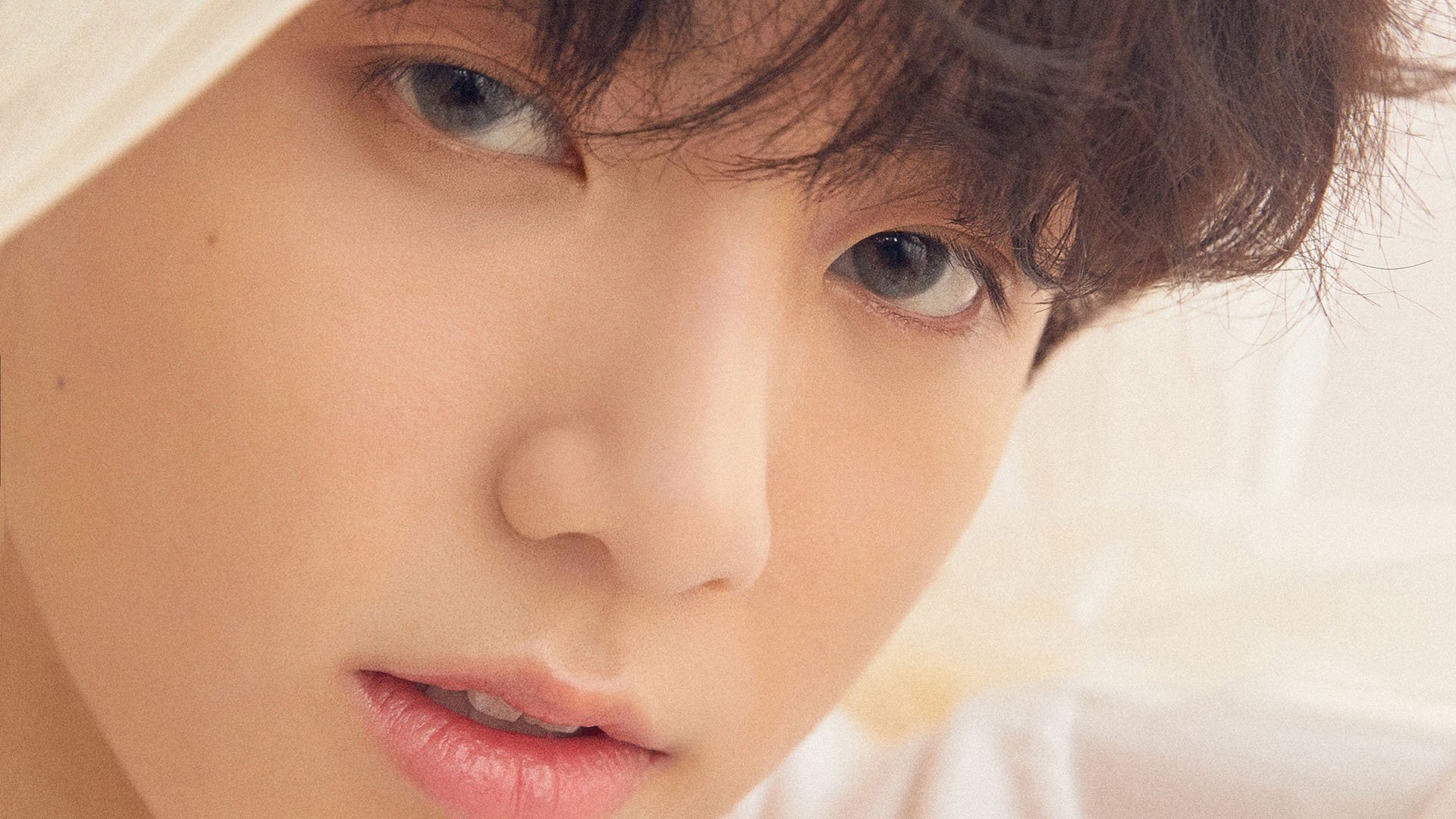 鏖战维罗德洛姆，布鲁诺孤星破晓，铁血马竞陷落马赛