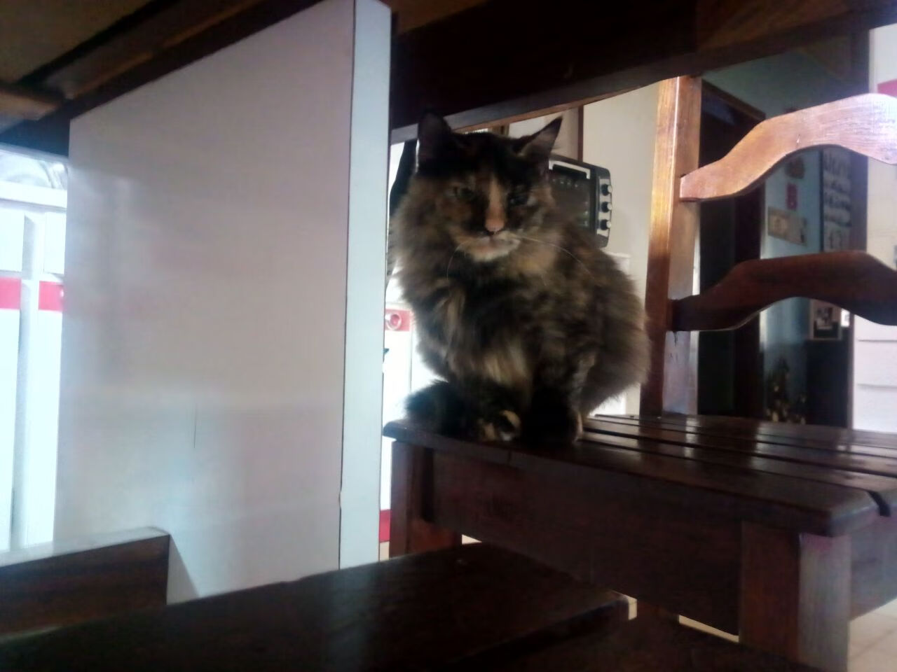 双城记，绿茵沙漠的逆袭与尼罗河之子的加冕