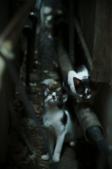 国家队掀翻德甲豪门，萨内单骑闯关，哥斯达黎加意外的艺术