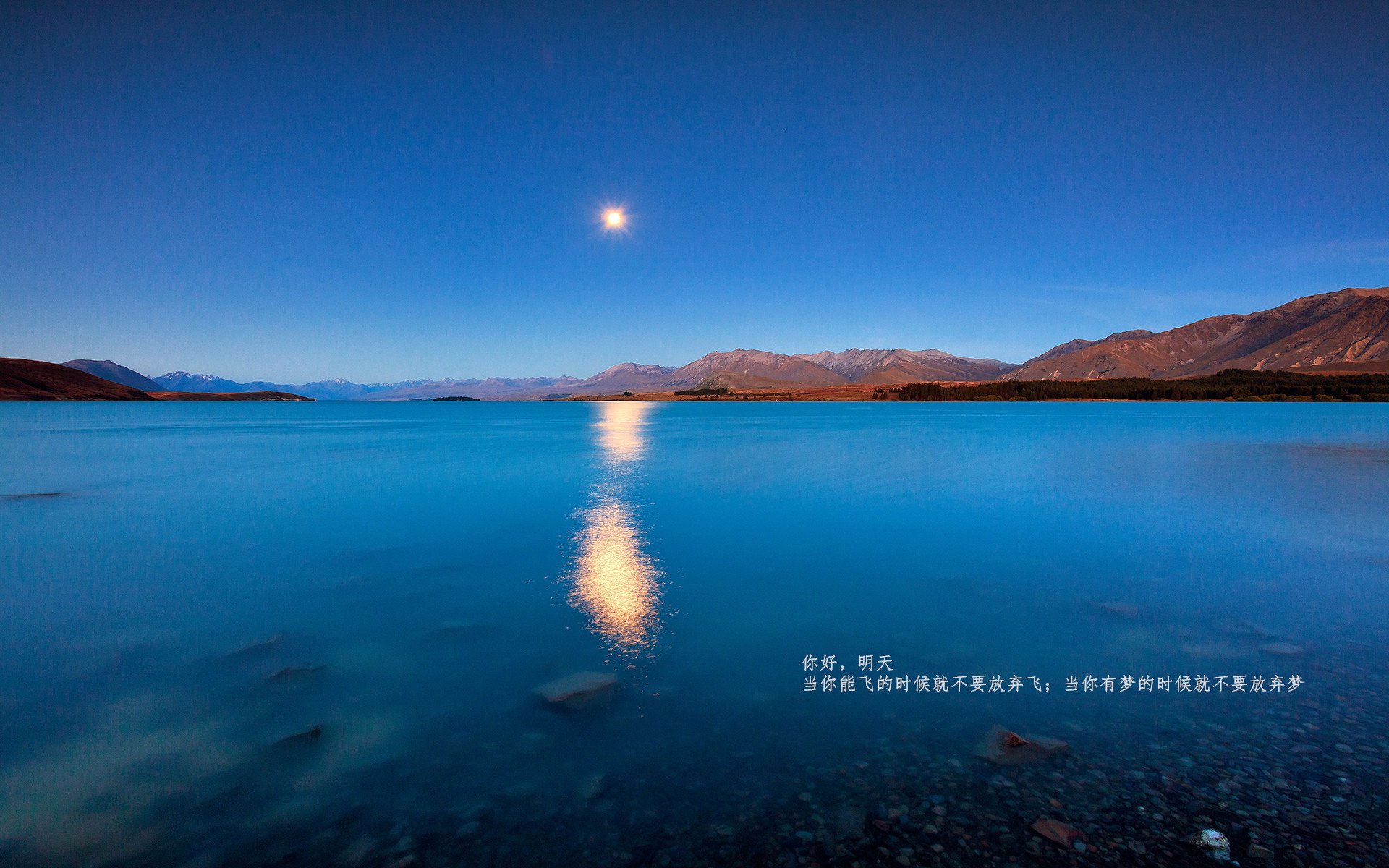 技术碾压与节奏大师，土耳其用巴尔韦德方程式解锁爱尔兰铁壁