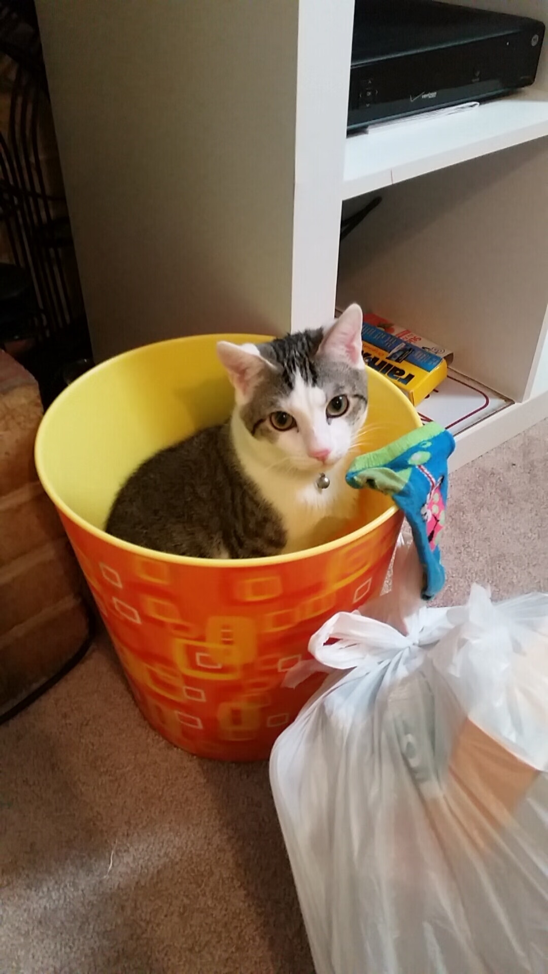 锤落！加克波双响撕裂梦剧场，黄金一代的黄昏被一锤定音