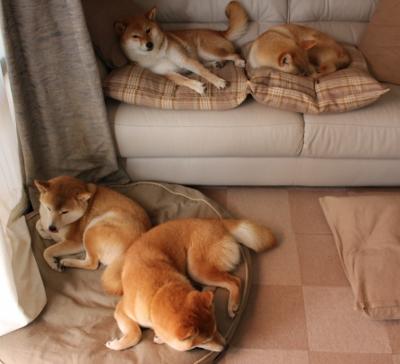 探戈与钢铁,马德里竞技如何为阿根廷足球注入反风格,兼论京多安的现代中场统治力