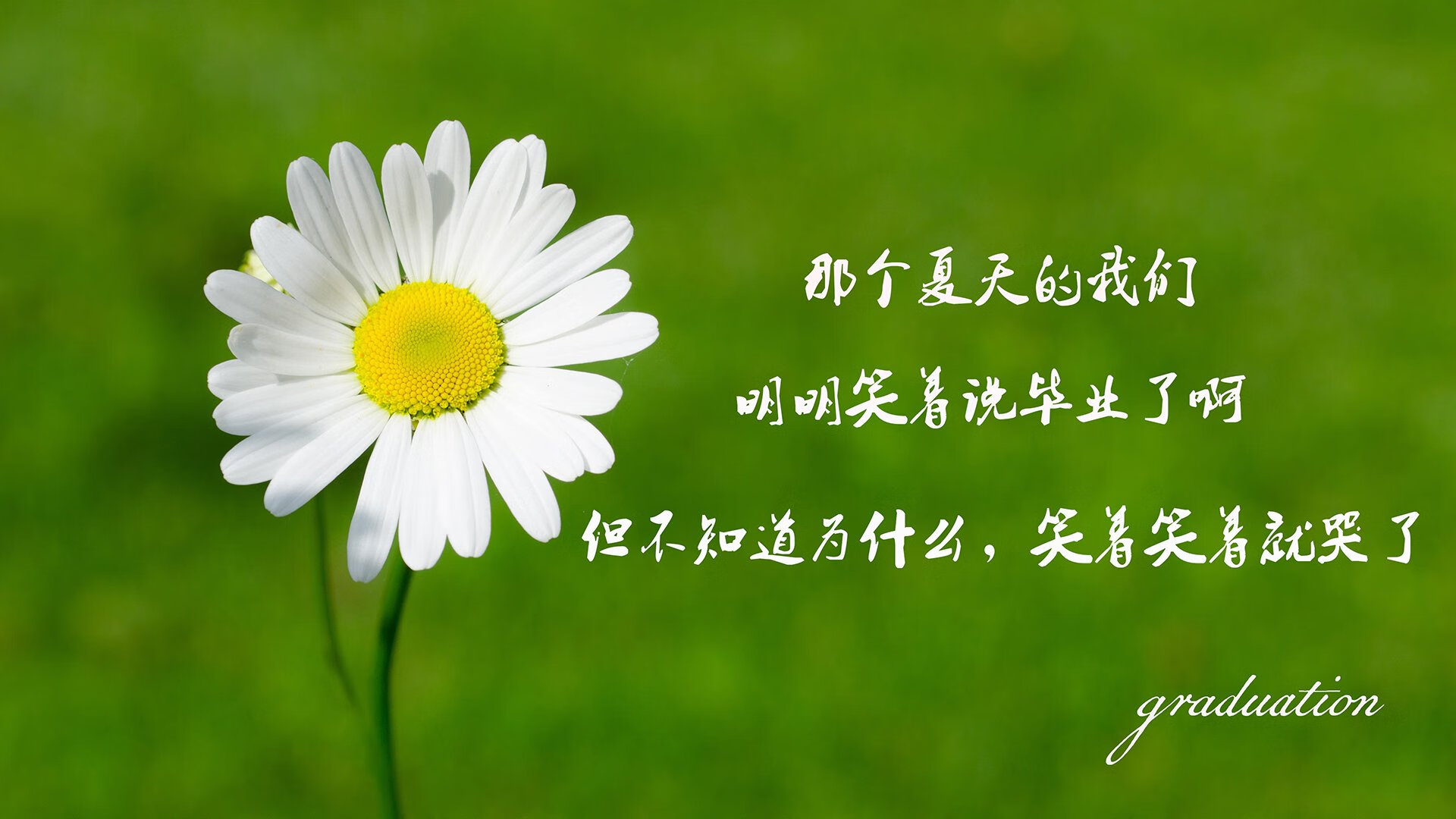 唯一的神迹,2026世界杯,内马尔一剑封喉,瑞典碾压加拿大书写冰火传奇
